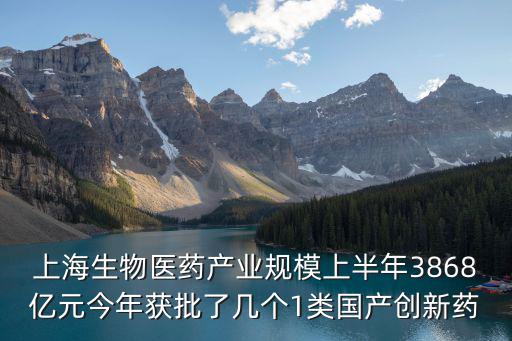 上海生物醫藥產業規模上半年3868億元今年獲批了幾個1類國產創新藥