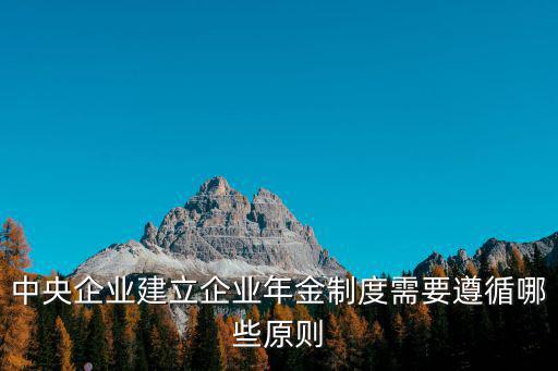 中央企業建立企業年金制度需要遵循哪些原則