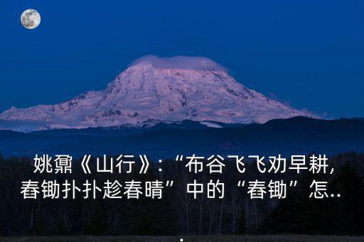 姚鼐,《走在山上》清代散文家姚鼐作品賞析