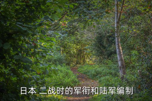 日本 二戰時的軍銜和陸軍編制