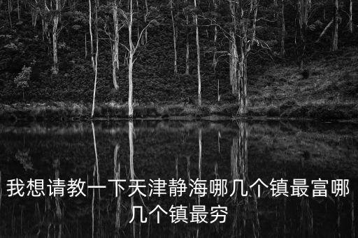 天津市靜海區(qū)哪個(gè)村比較富，靜海區(qū)小高村