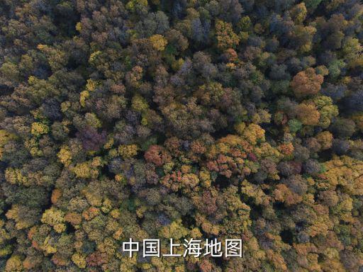 中國上海地圖