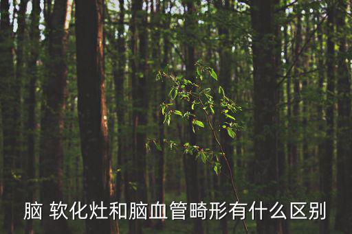 腦 軟化灶和腦血管畸形有什么區別