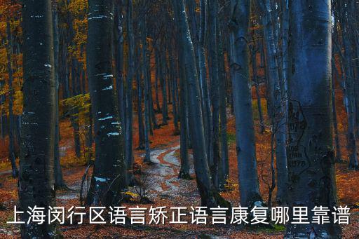 上海閔行區(qū)語(yǔ)言矯正語(yǔ)言康復(fù)哪里靠譜