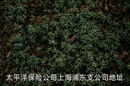 太平洋保險公司上海浦東支公司地址