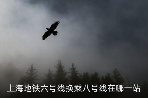 上海地鐵換乘查詢最新，上海地鐵查詢