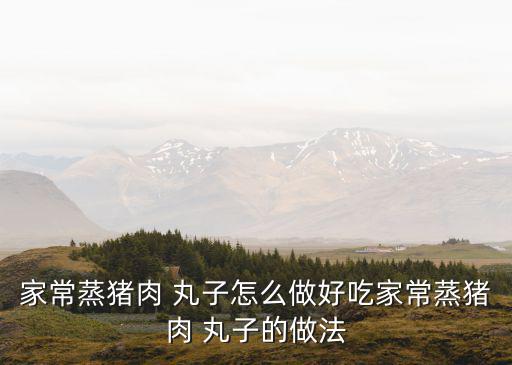 家常蒸豬肉 丸子怎么做好吃家常蒸豬肉 丸子的做法