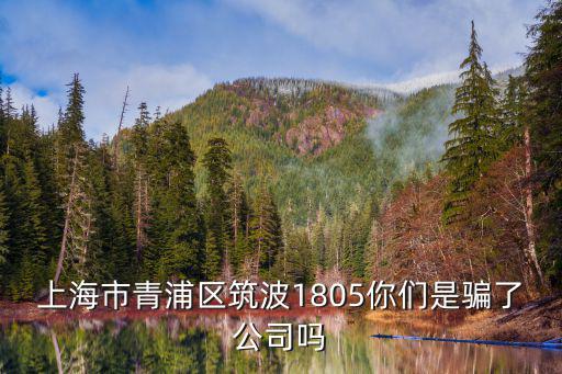 青浦區委副書記楊小青簡歷，上海市青浦區筑波1805你們是騙了公司嗎