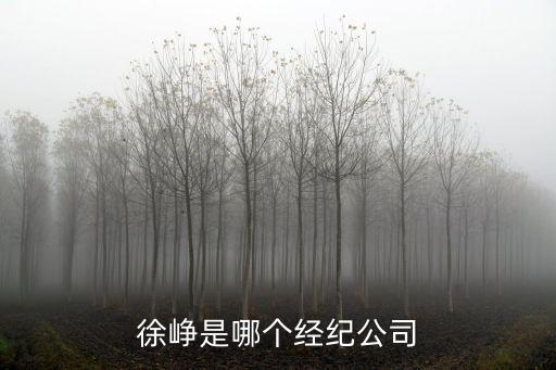 徐崢是哪個經紀公司