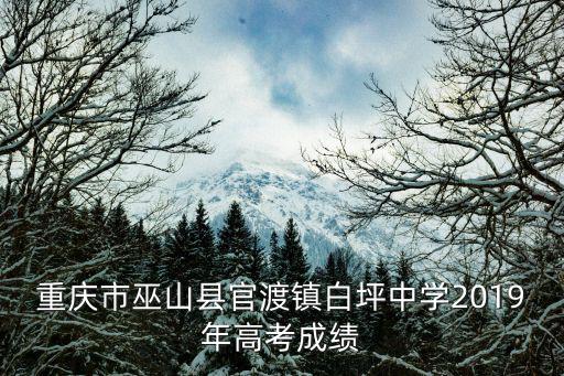 重慶市巫山縣官渡鎮(zhèn)白坪中學(xué)2019年高考成績(jī)