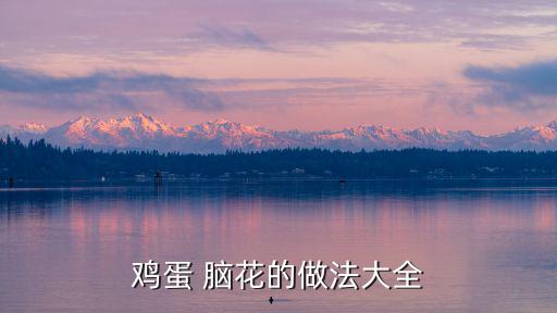 腦花的做法大全,重慶特色小吃腦花烤腦花