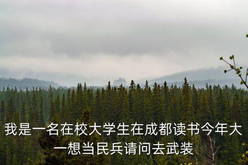 我是一名在校大學生在成都讀書今年大一想當民兵請問去武裝