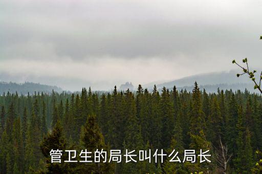 管衛(wèi)生的局長(zhǎng)叫什么局長(zhǎng)