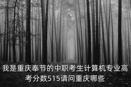 我是重慶奉節(jié)的中職考生計算機專業(yè)高考分數(shù)515請問重慶哪些