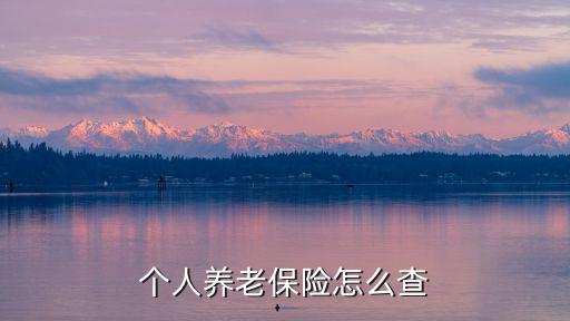個(gè)人養(yǎng)老保險(xiǎn)怎么查