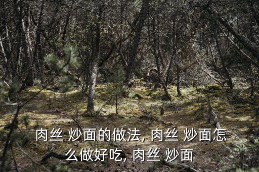  肉絲 炒面的做法, 肉絲 炒面怎么做好吃, 肉絲 炒面