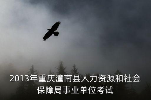 2013年重慶潼南縣人力資源和社會保障局事業單位考試