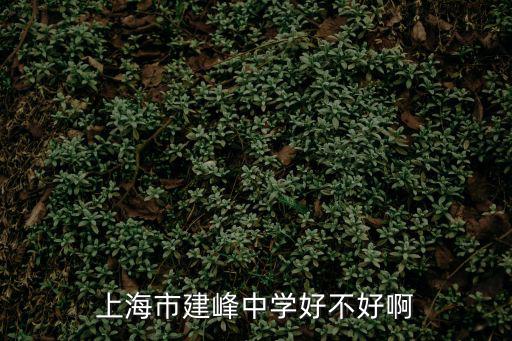 上海市建峰中學好不好啊