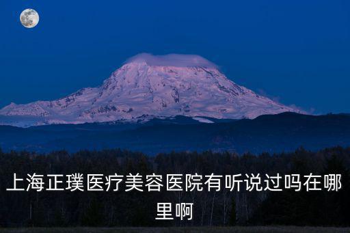 上海正璞醫(yī)療美容醫(yī)院有聽說過嗎在哪里啊