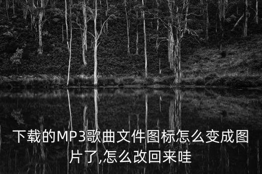 下載的MP3歌曲文件圖標怎么變成圖片了,怎么改回來哇
