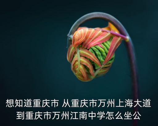 想知道重慶市 從重慶市萬州上海大道到重慶市萬州江南中學怎么坐公