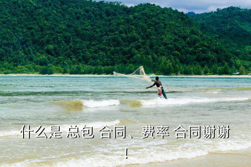 什么是 總包 合同、費率 合同謝謝!