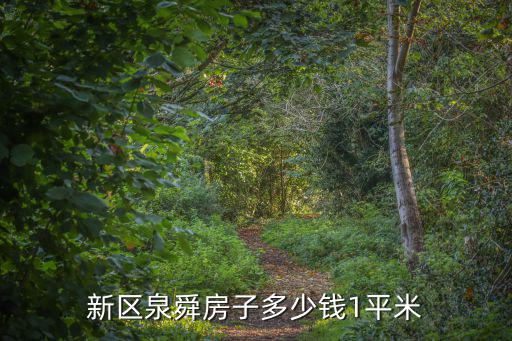 新區泉舜房子多少錢1平米