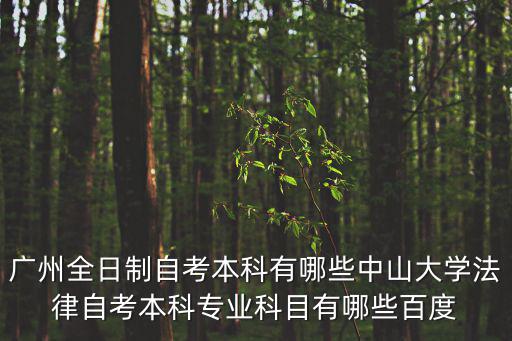 廣州全日制自考本科有哪些中山大學(xué)法律自考本科專(zhuān)業(yè)科目有哪些百度