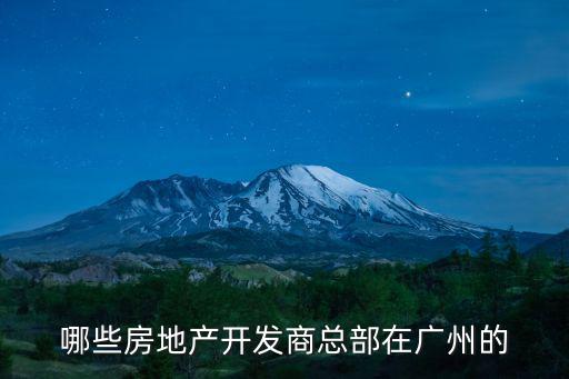 廣州市區(qū)某房地產(chǎn)開發(fā)公司，廣州市白云區(qū)同和鎮(zhèn)東園北街倚山翠庭小區(qū)是什么房地產(chǎn)公司開發(fā)  搜