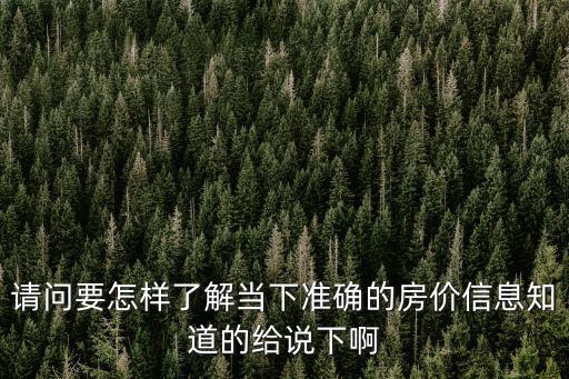 請問要怎樣了解當下準確的房價信息知道的給說下啊