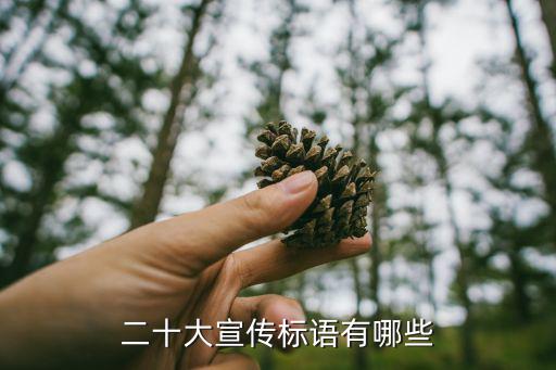 宣傳標語大全，宣傳口號