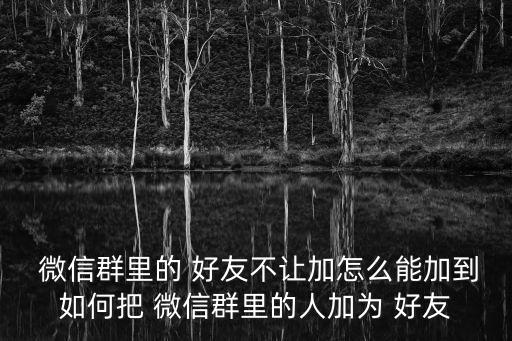  微信群里的 好友不讓加怎么能加到如何把 微信群里的人加為 好友
