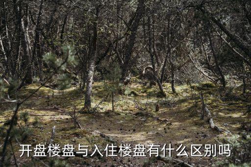 開盤樓盤與入住樓盤有什么區別嗎