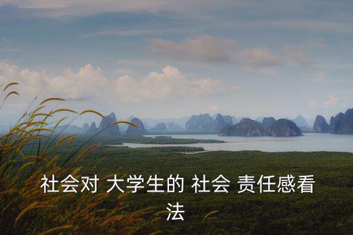  社會對 大學生的 社會 責任感看法