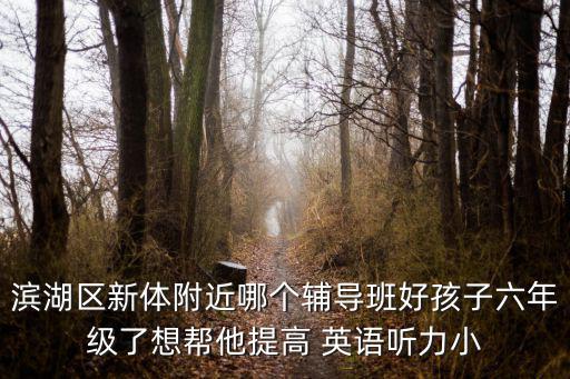 濱湖區新體附近哪個輔導班好孩子六年級了想幫他提高 英語聽力小