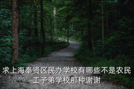 上海奉賢區博華雙語學校，求上海奉賢區民辦學校有哪些不是農民工子弟學校那種謝謝
