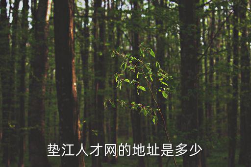 墊江人才網的地址是多少
