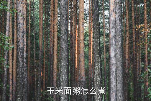 玉米面粥的做法,這碗面的做法