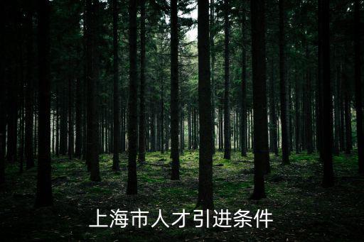 落戶上海人才引進需要什么條件，上海市人才引進條件