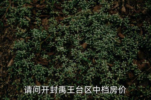 請問開封禹王臺區(qū)中檔房價