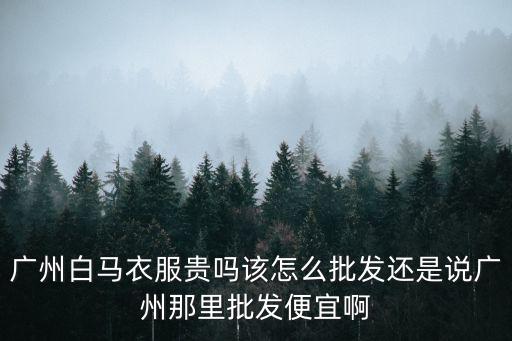 廣州白馬衣服貴嗎該怎么批發還是說廣州那里批發便宜啊