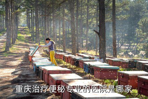 重慶治療便秘專業(yè)的醫(yī)院是哪家