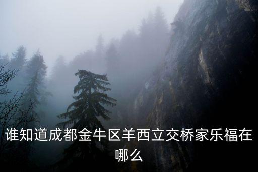 成都市家樂福羊西店，誰知道成都金牛區羊西立交橋家樂福在哪么