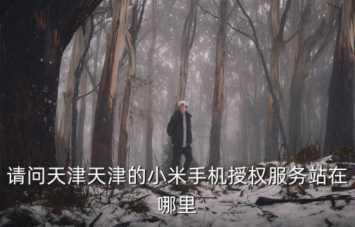 請問天津天津的小米手機授權(quán)服務(wù)站在哪里