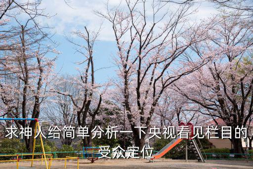 求神人給簡單分析一下央視看見欄目的受眾定位