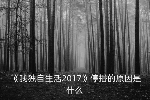 《我獨自生活2017》停播的原因是什么