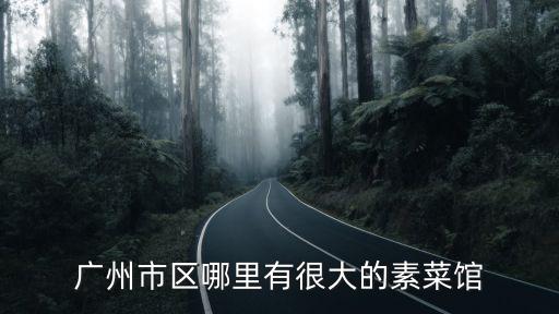 廣州市區哪里有很大的素菜館