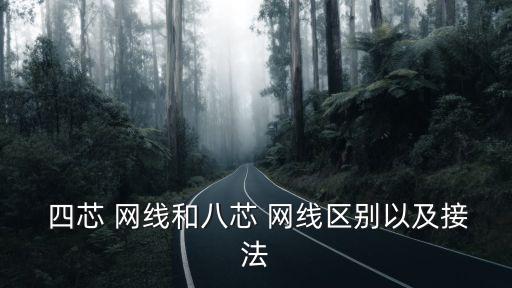 四芯網線,一般四芯網線不是電線而是網絡連接