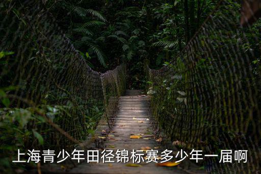 上海青少年田徑錦標(biāo)賽多少年一屆啊