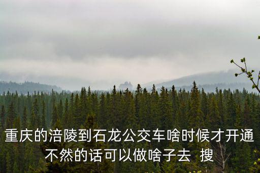 重慶的涪陵到石龍公交車啥時候才開通不然的話可以做啥子去  搜
